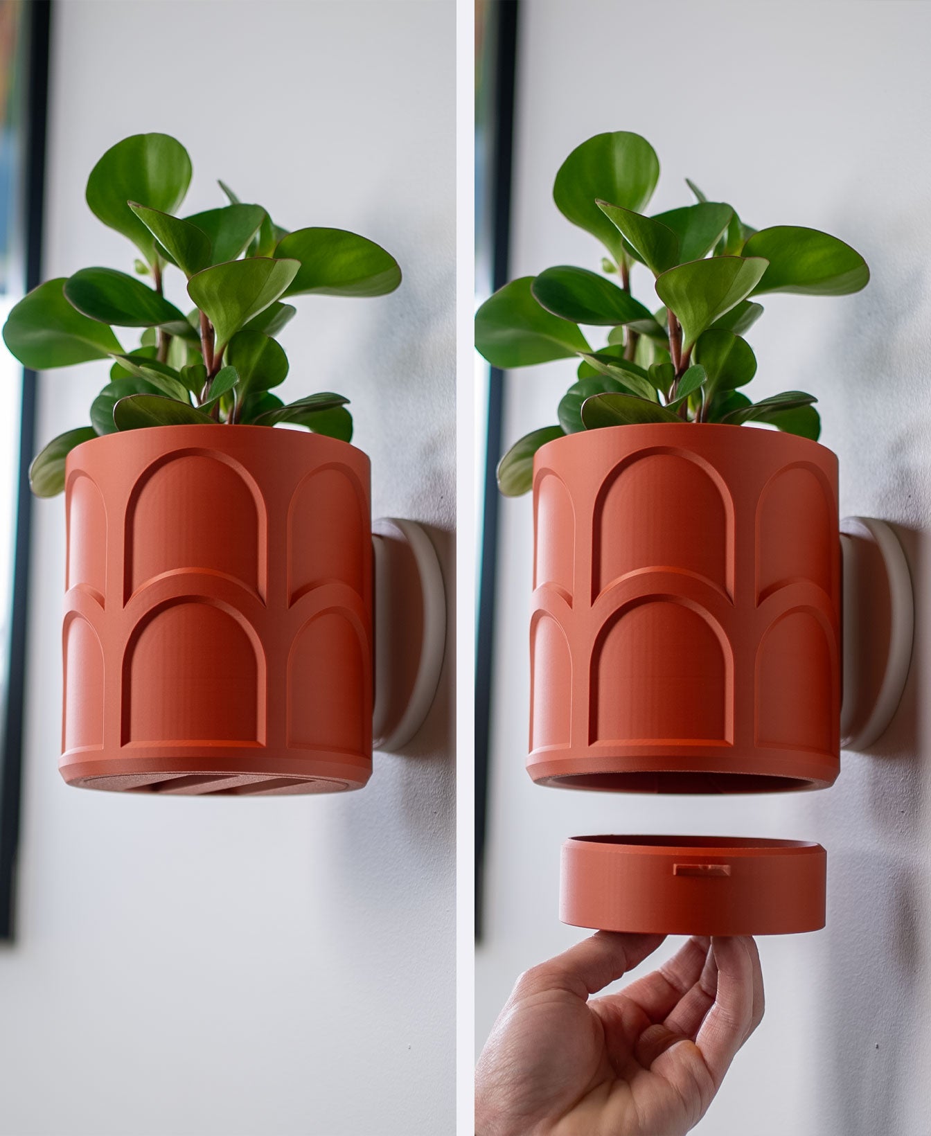 Sinister Select Curves Wall Planter