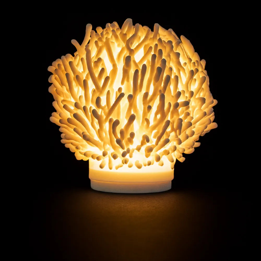 Decorative coral lamp