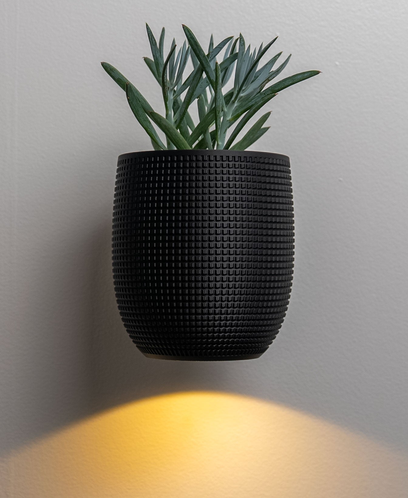 Wall Light Planter - The Grid