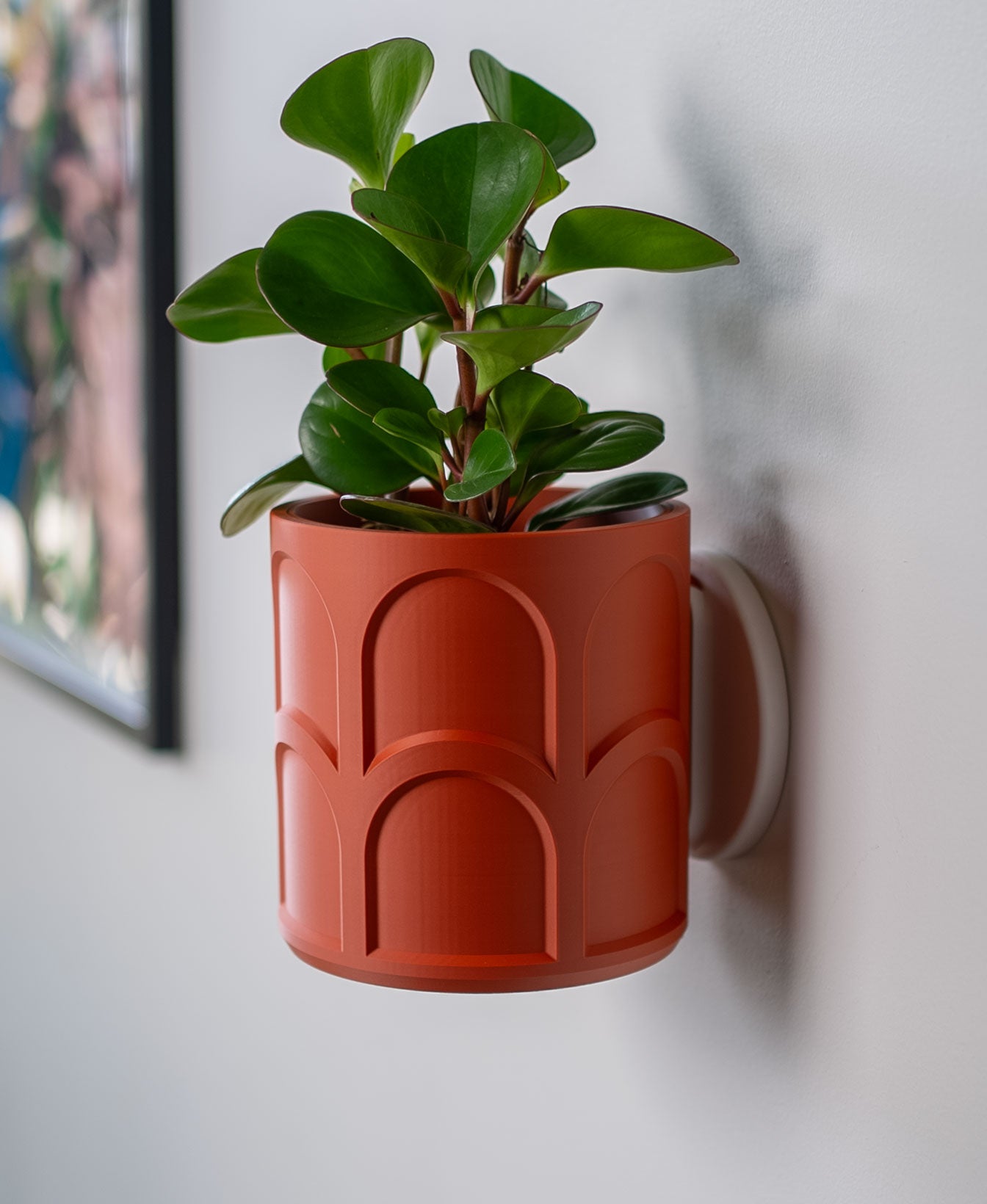 Sinister Select Curves Wall Planter