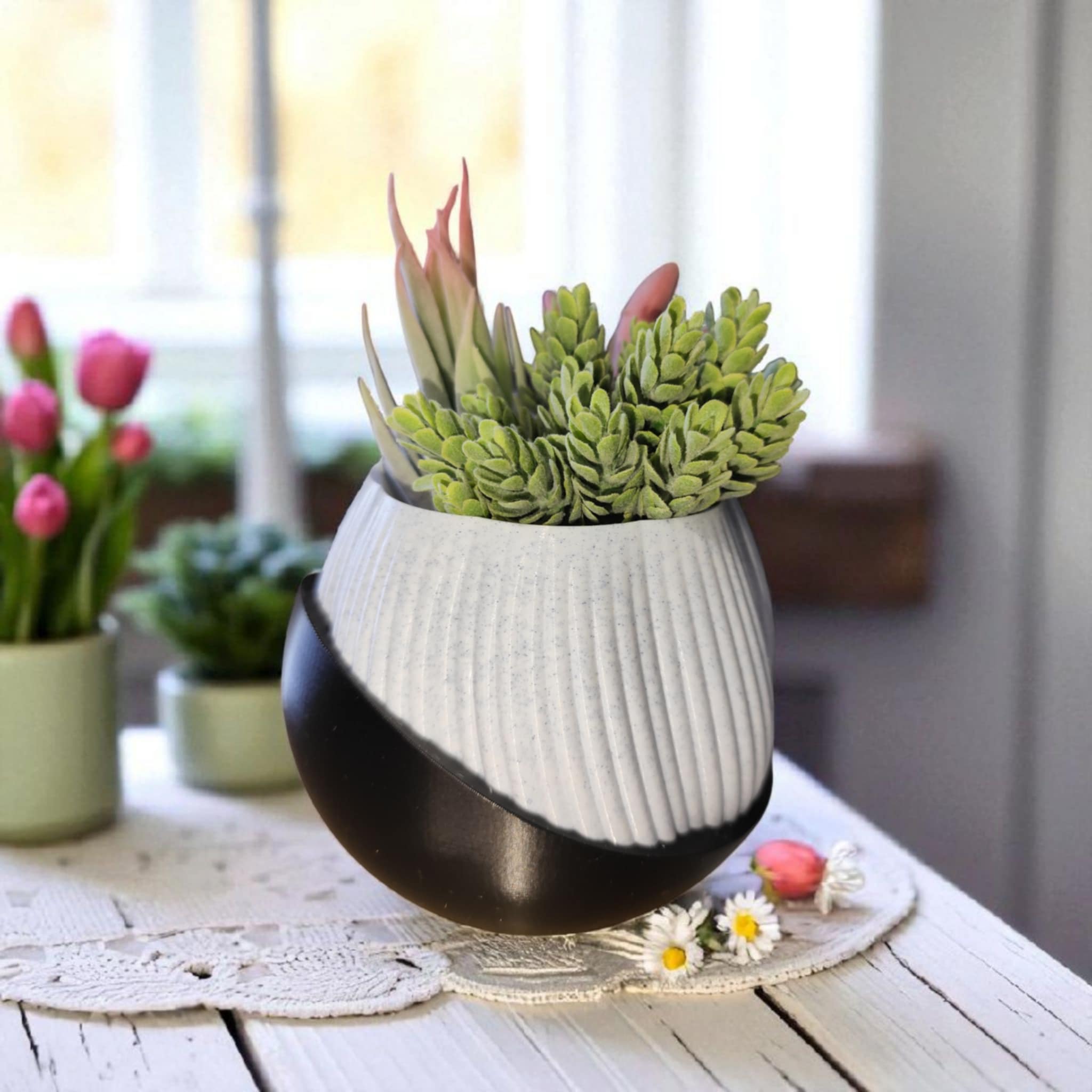 Bloomberg Planter – Eco-Friendly Design 🌿✨