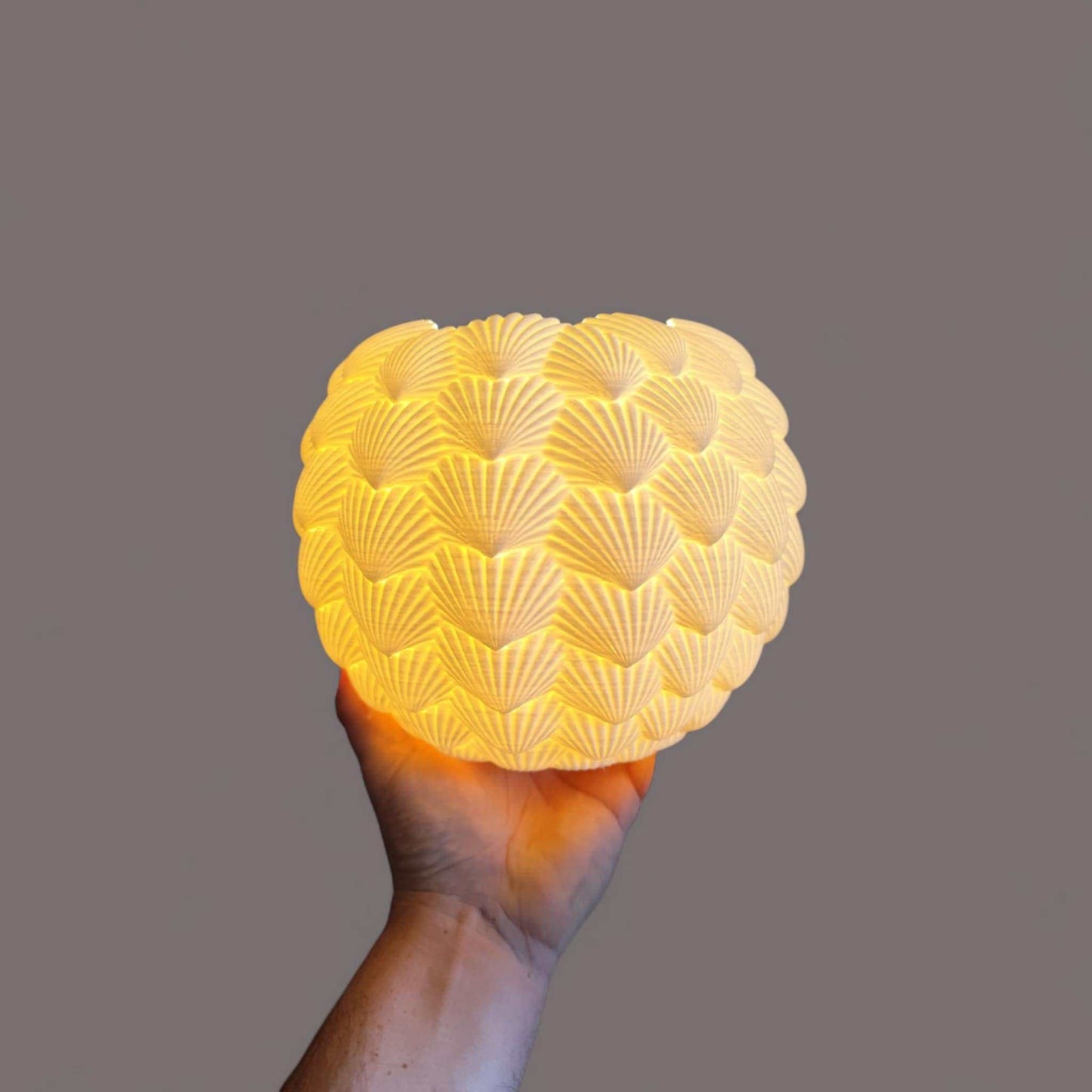 Sinister Select Shell Lamp – Hand-Printed in Perth | Modern cordless LED Table Lamp