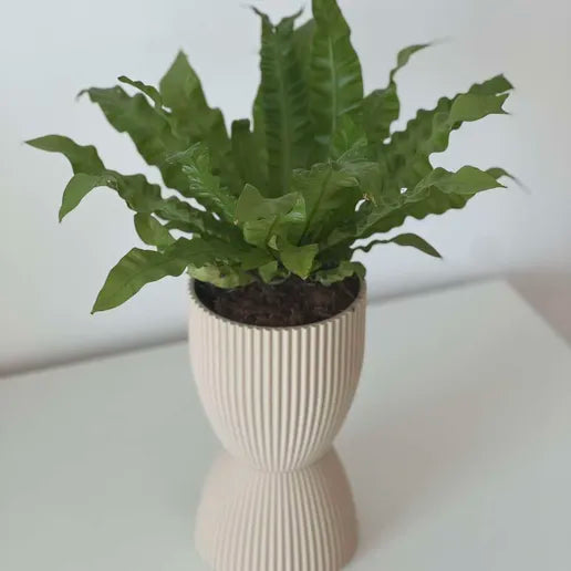 Pilar Planters – Elevated 3-Part Modern Planter Set