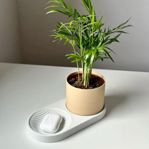 Modern Minimalist Tray with Planter