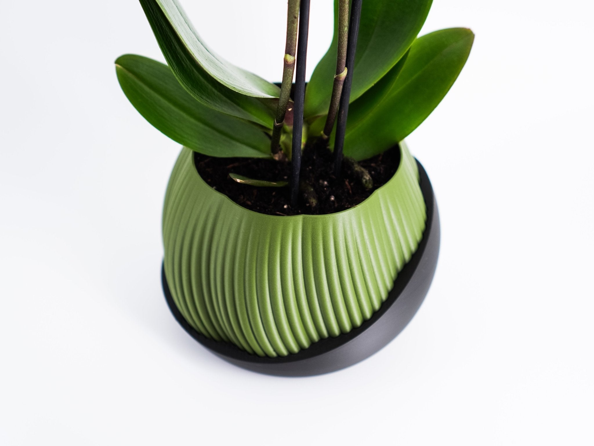 Bloomberg Planter – Eco - Friendly Design 🌿✨ - SinisterStyle
