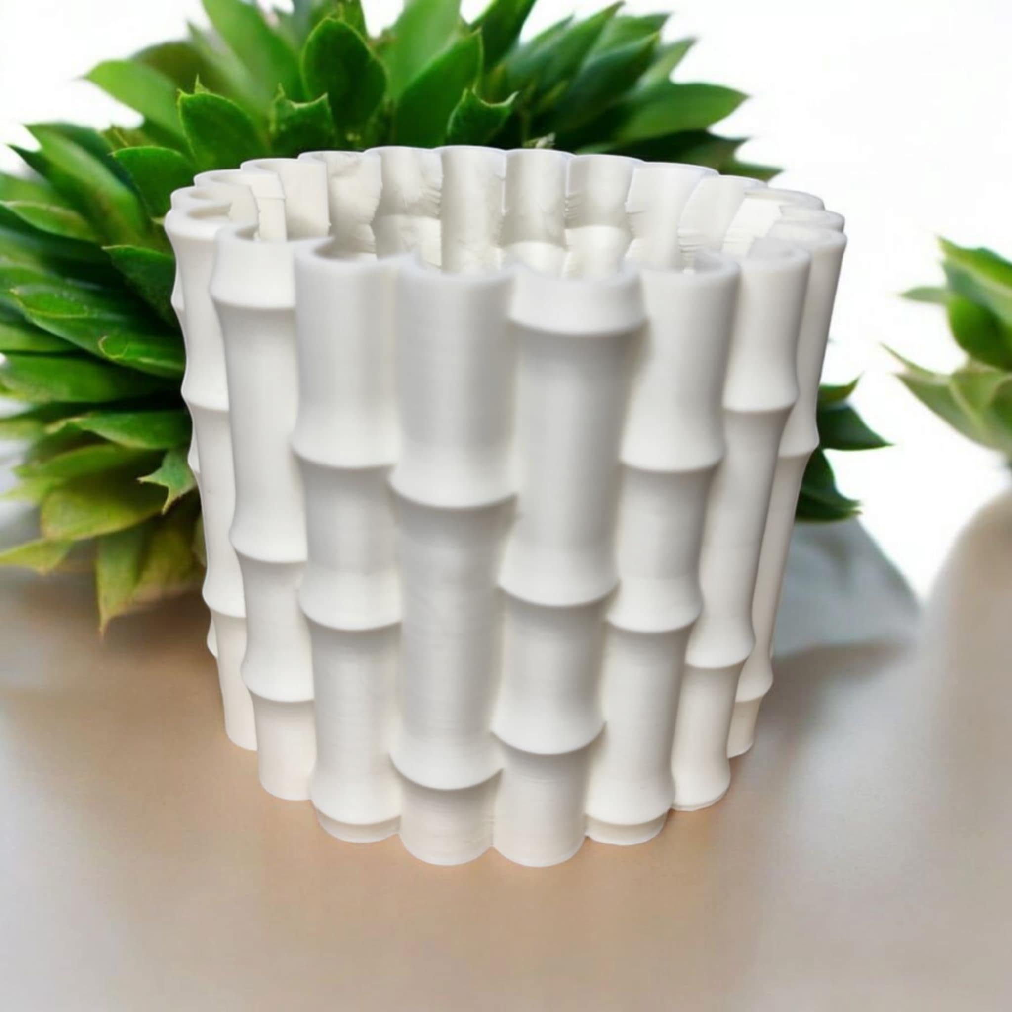 Sinister Select  Bamboo Plant Pot