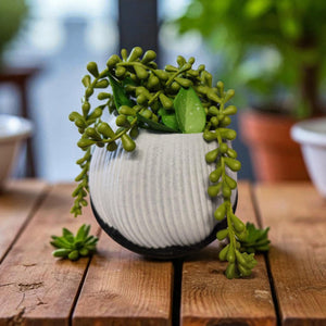 Bloomberg Planter – Eco-Friendly Design 🌿✨