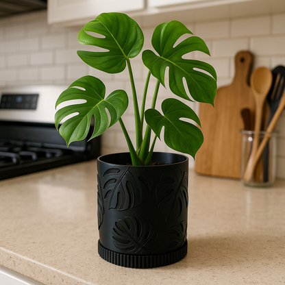 Sinister Select Monstera Leaf Pattern Planter Plant Pot inc tray
