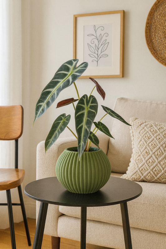 Sinister Curves Planter - Sinister Style Signature Range