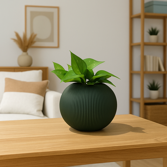 Sinister Select Circular Ball Planter Pot