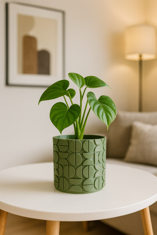 Sinister Select Half Circles Planter Pot inc tray
