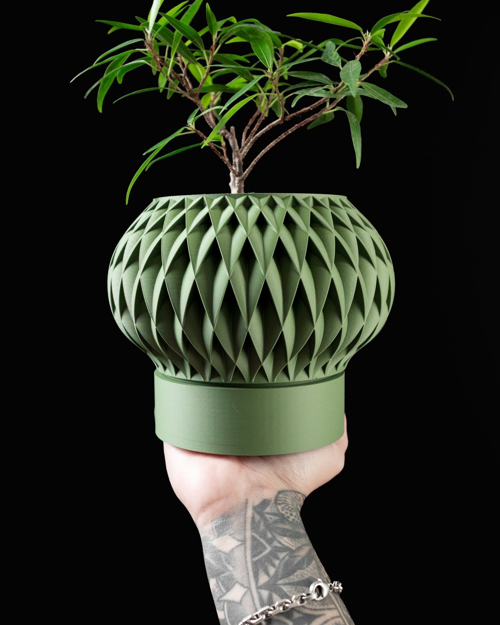 Velex Planter Pot – Unique, Biodegradable, and Perfect for Any Space - SinisterStyle