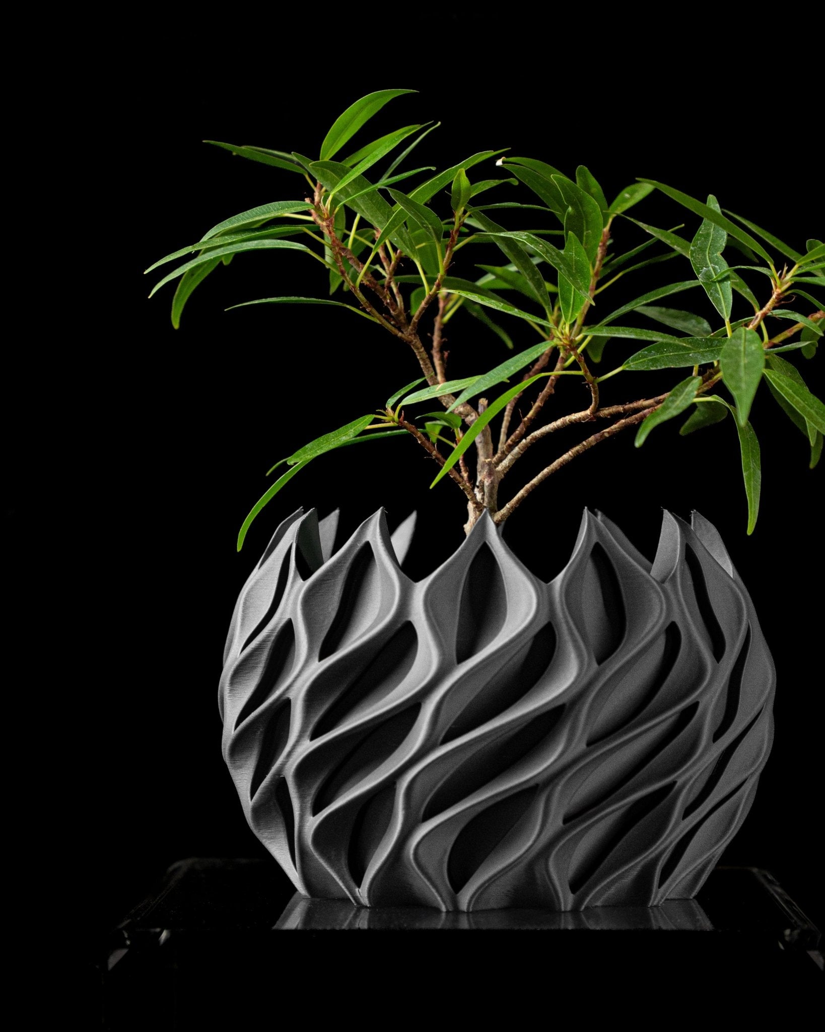 Twister Planter Pot - SinisterStyle