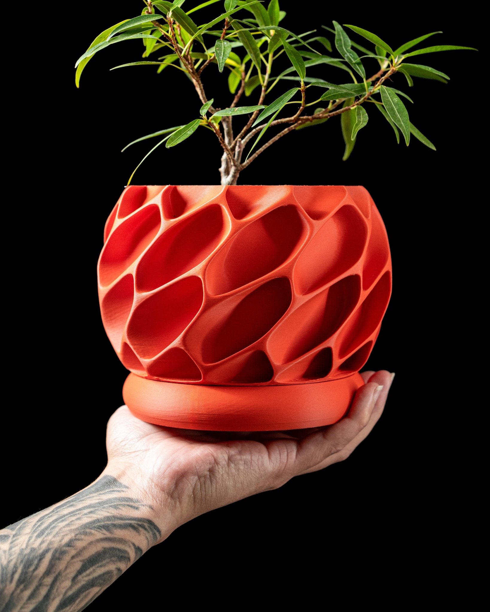 Exo Planter Pot - SinisterStyle
