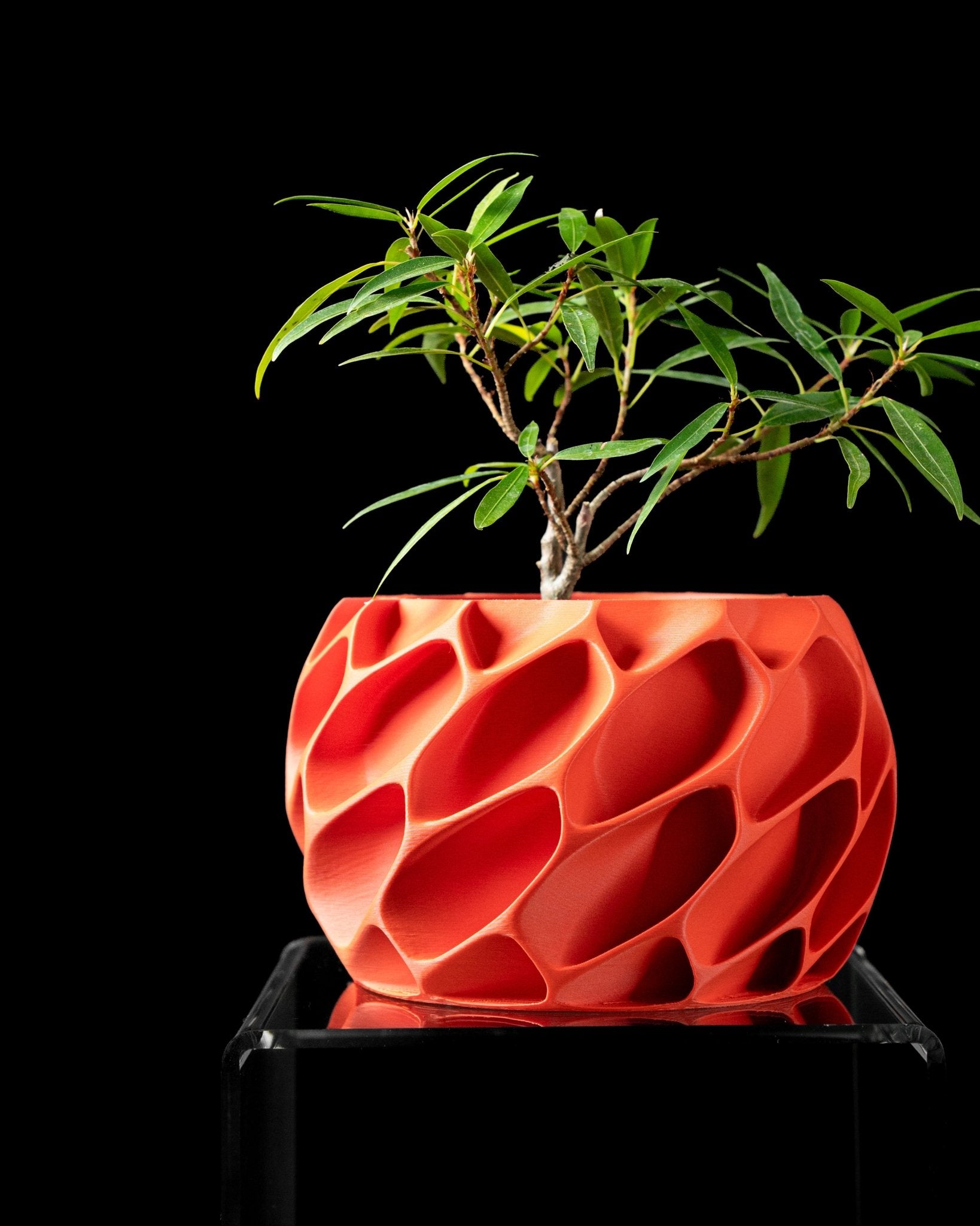 Exo Planter Pot - SinisterStyle