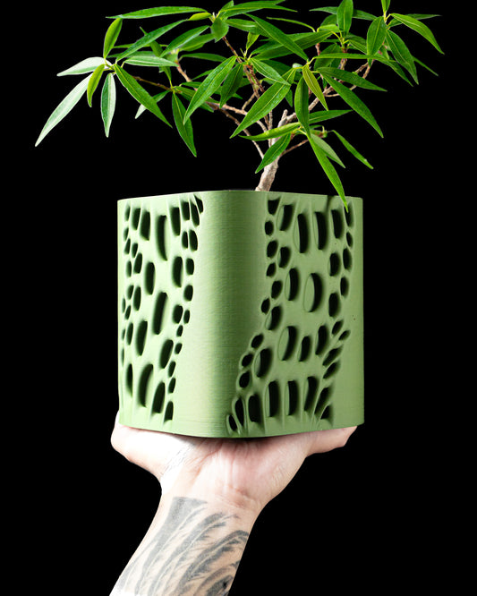 Vapor Plant Pot – Where Form Meets Flow