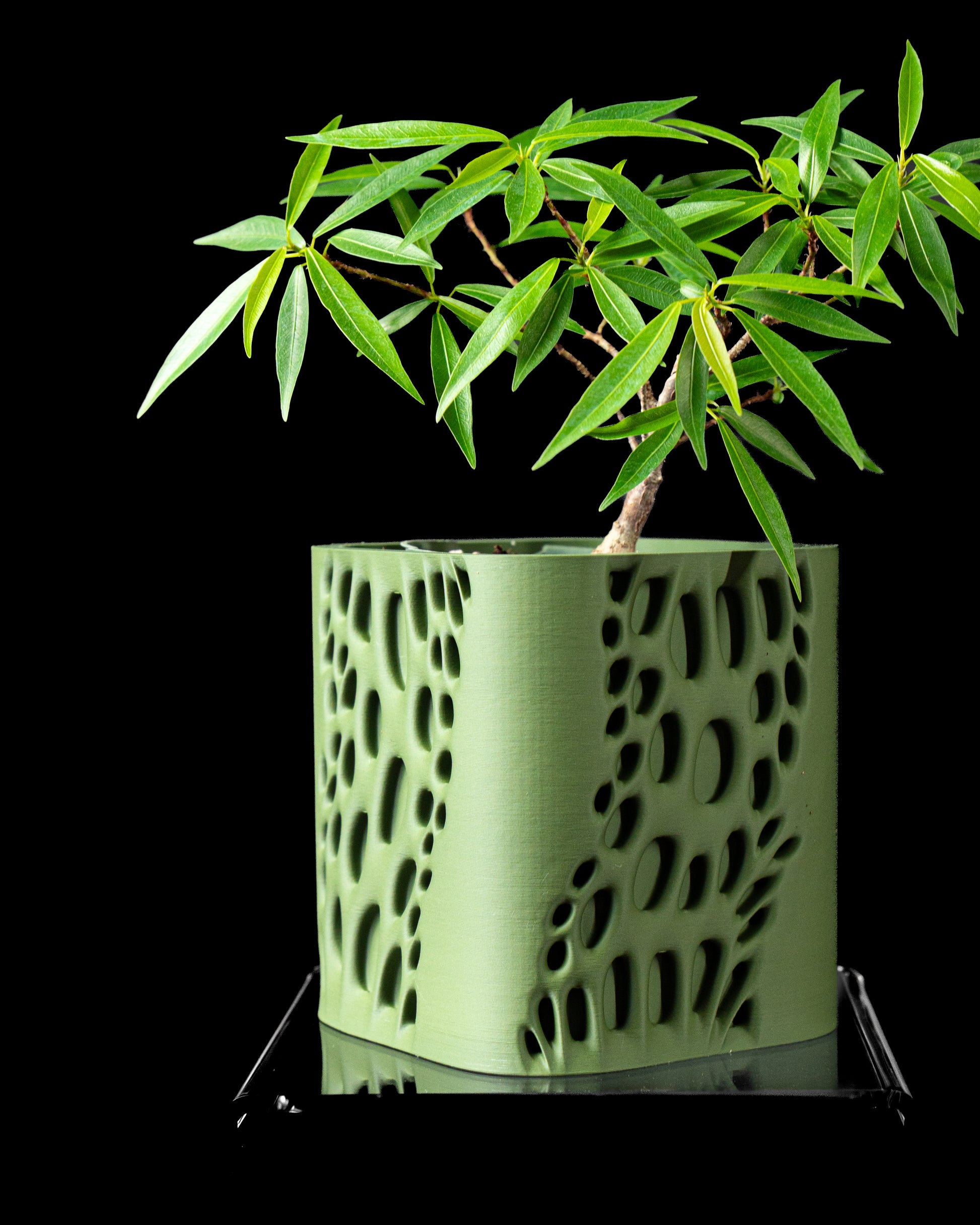 Vapor Plant Pot – Where Form Meets Flow