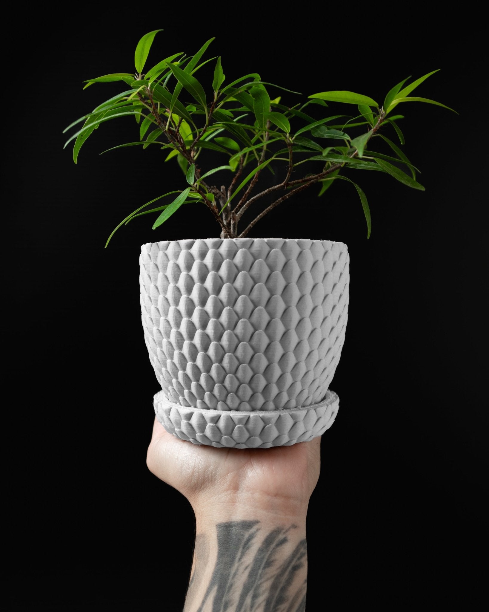 Dragon Scale Planter Pot – Unique, Biodegradable, and Perfect for Any Space - SinisterStyle