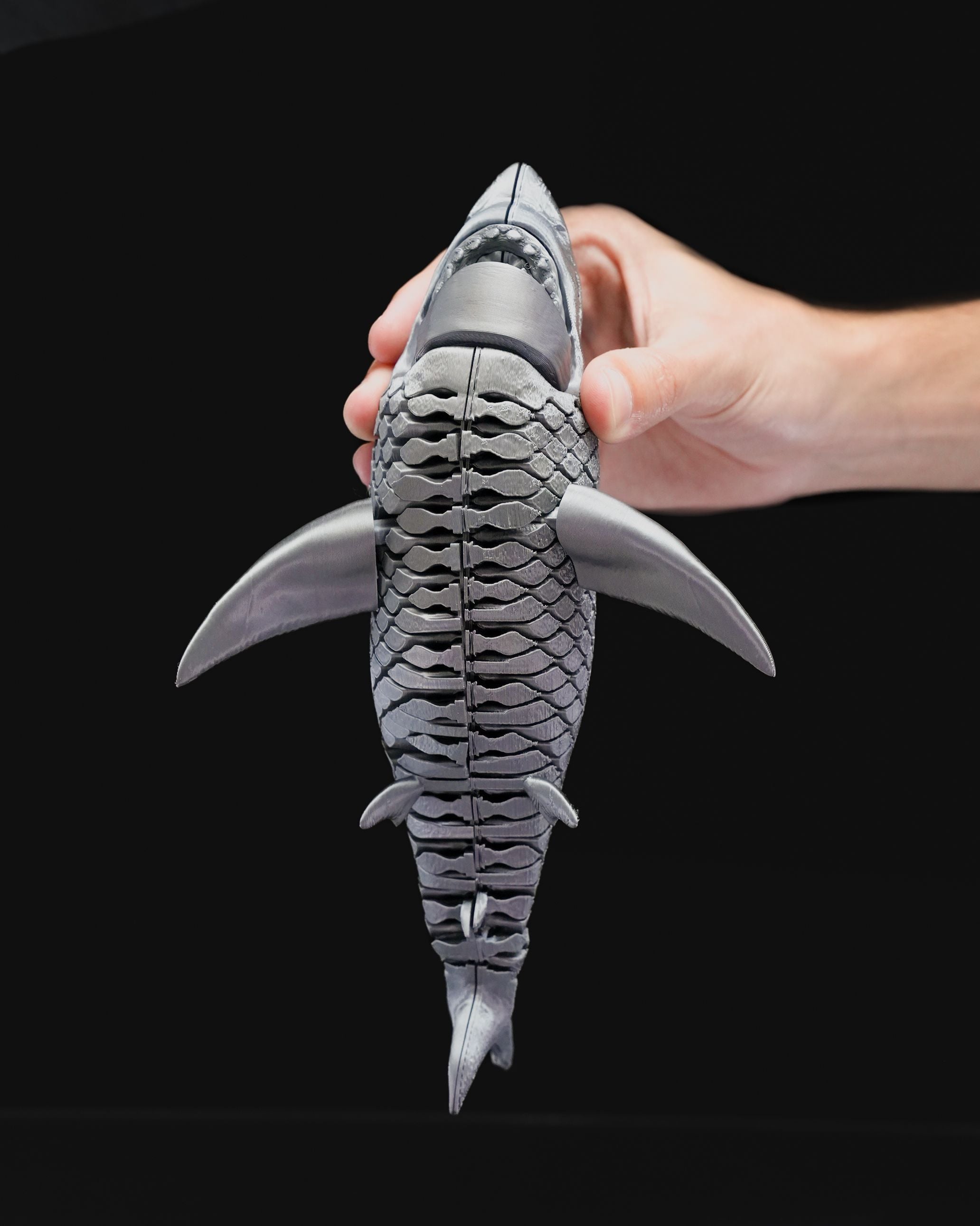 Great White Shark 3D Printed Toy – Realistic Articulated Fish, Deep Sea Fidget Toy, Tropical Fish Decor, Quiet Desk Fidget for Adults & Kids