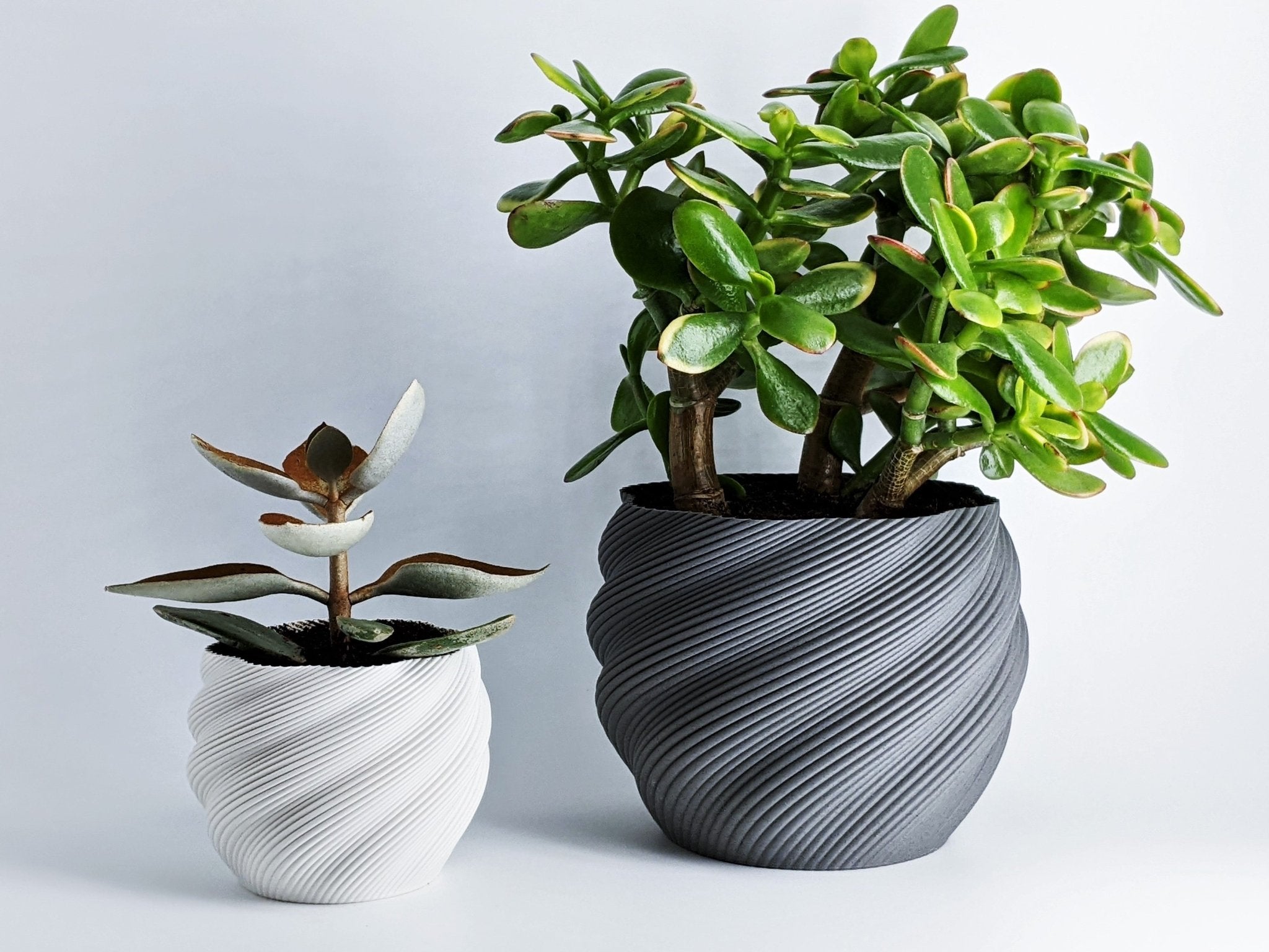 Diluvian Planter – Eco - Friendly Design 🌿✨ - SinisterStyle