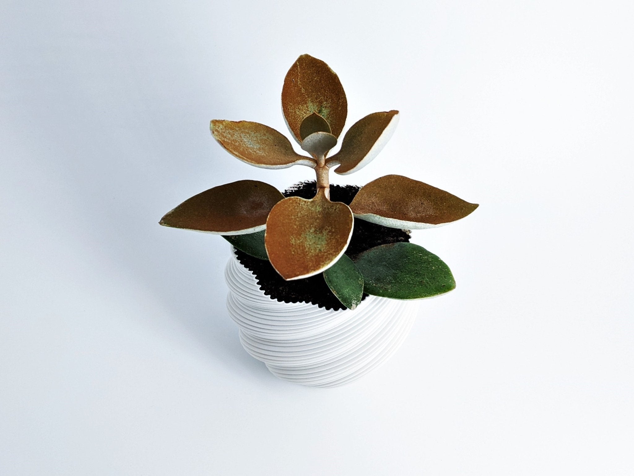 Diluvian Planter – Eco - Friendly Design 🌿✨ - SinisterStyle