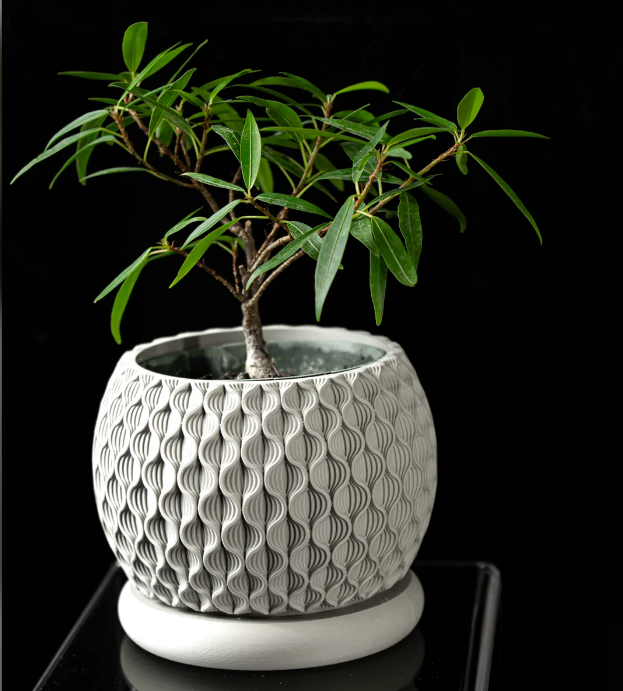 Bloom Planter Pot – Where Style Meets Sustainability