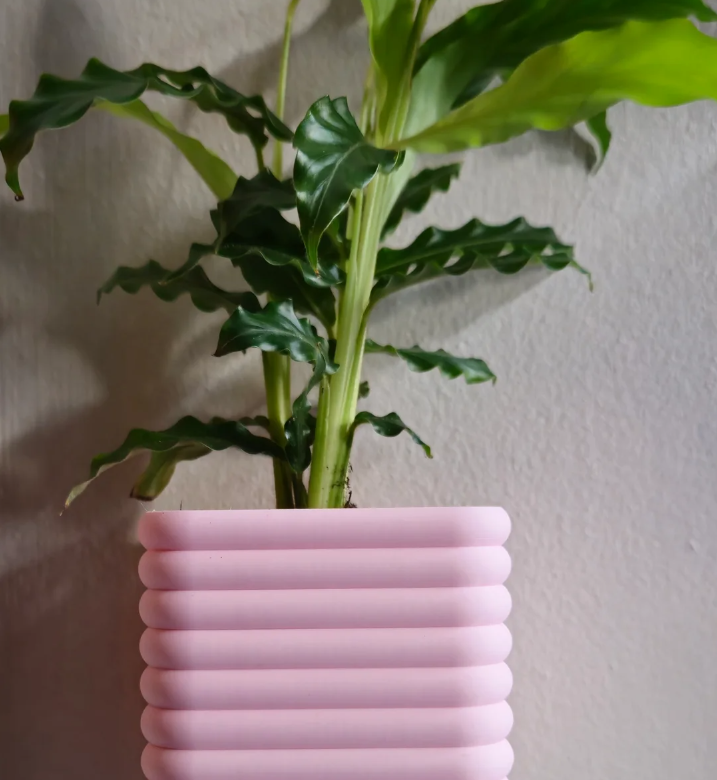 Bubble Square Wall Planter