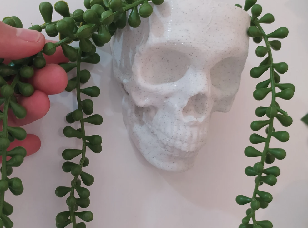 Skull Head Planter – Modern Sculptural Face Pot | Sinister Style