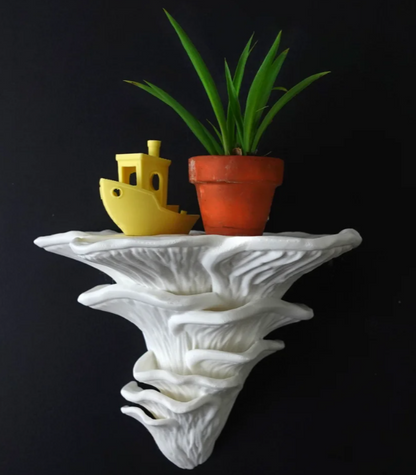 Mushroom Shelf – Whimsical Wall Decor for Plants Crystals & Collectibles
