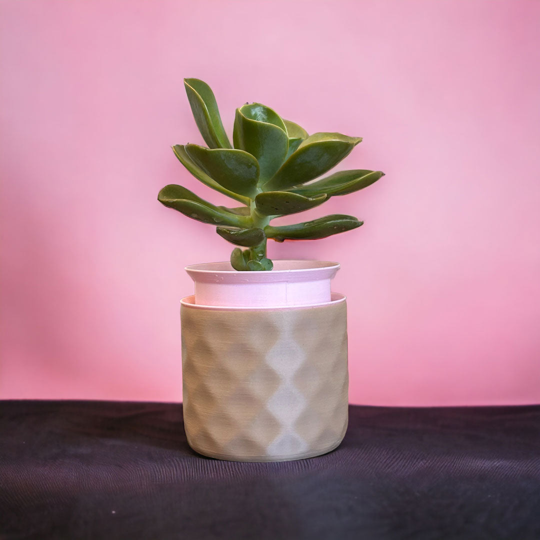 WABI | Self-watering Planter