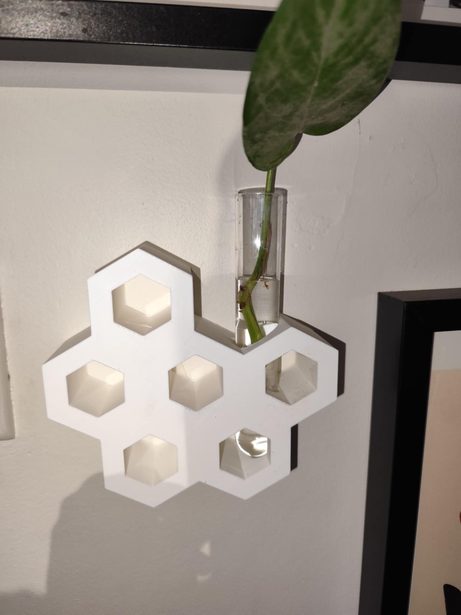 Sinister Select Hex Propagation Station – Wall Mountable