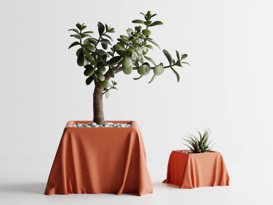 Cloth Planter Pot – Unique Biodegradable and Perfect for Any Space