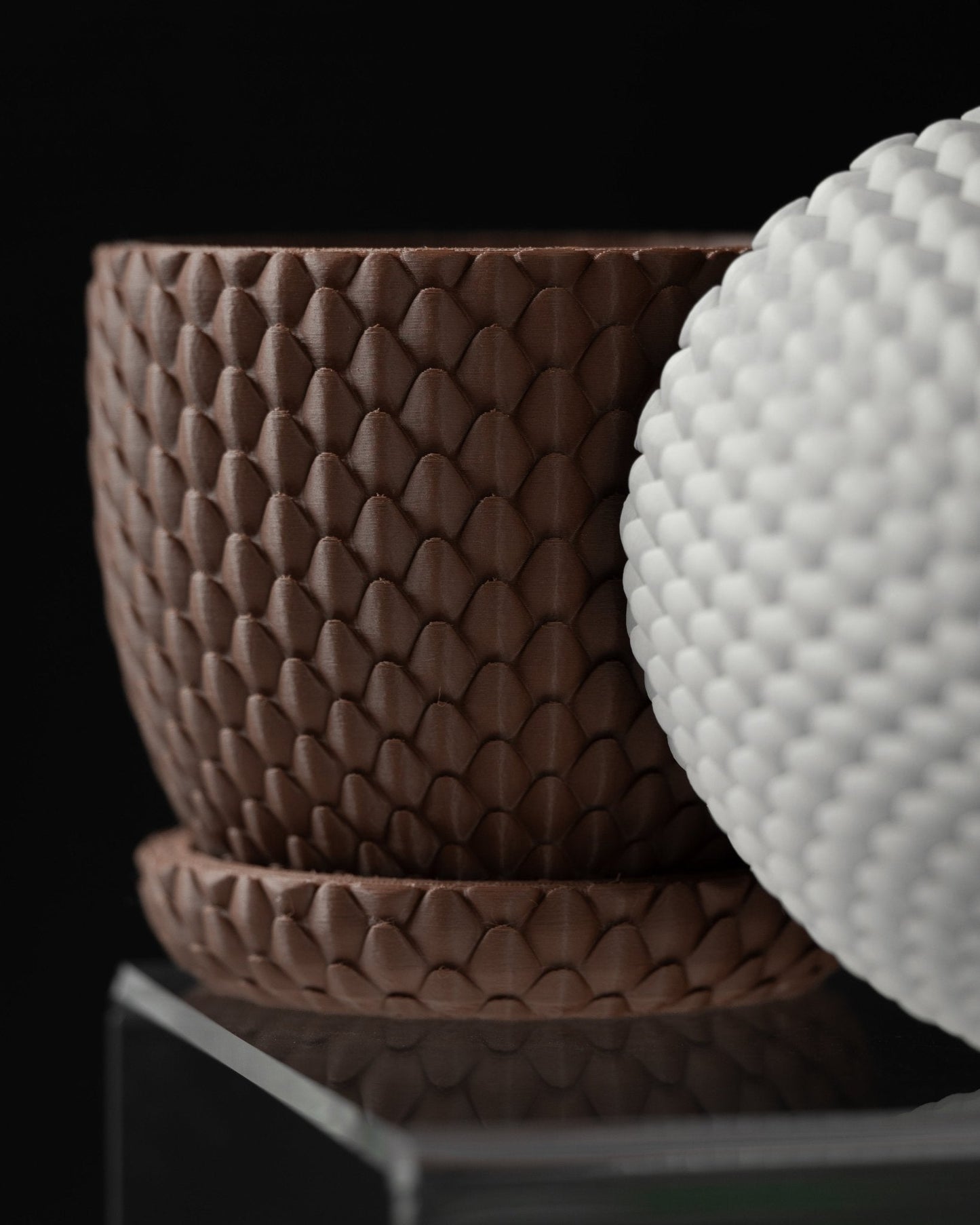Dragon Scale Planter Pot – Unique Biodegradable and Perfect for Any Space