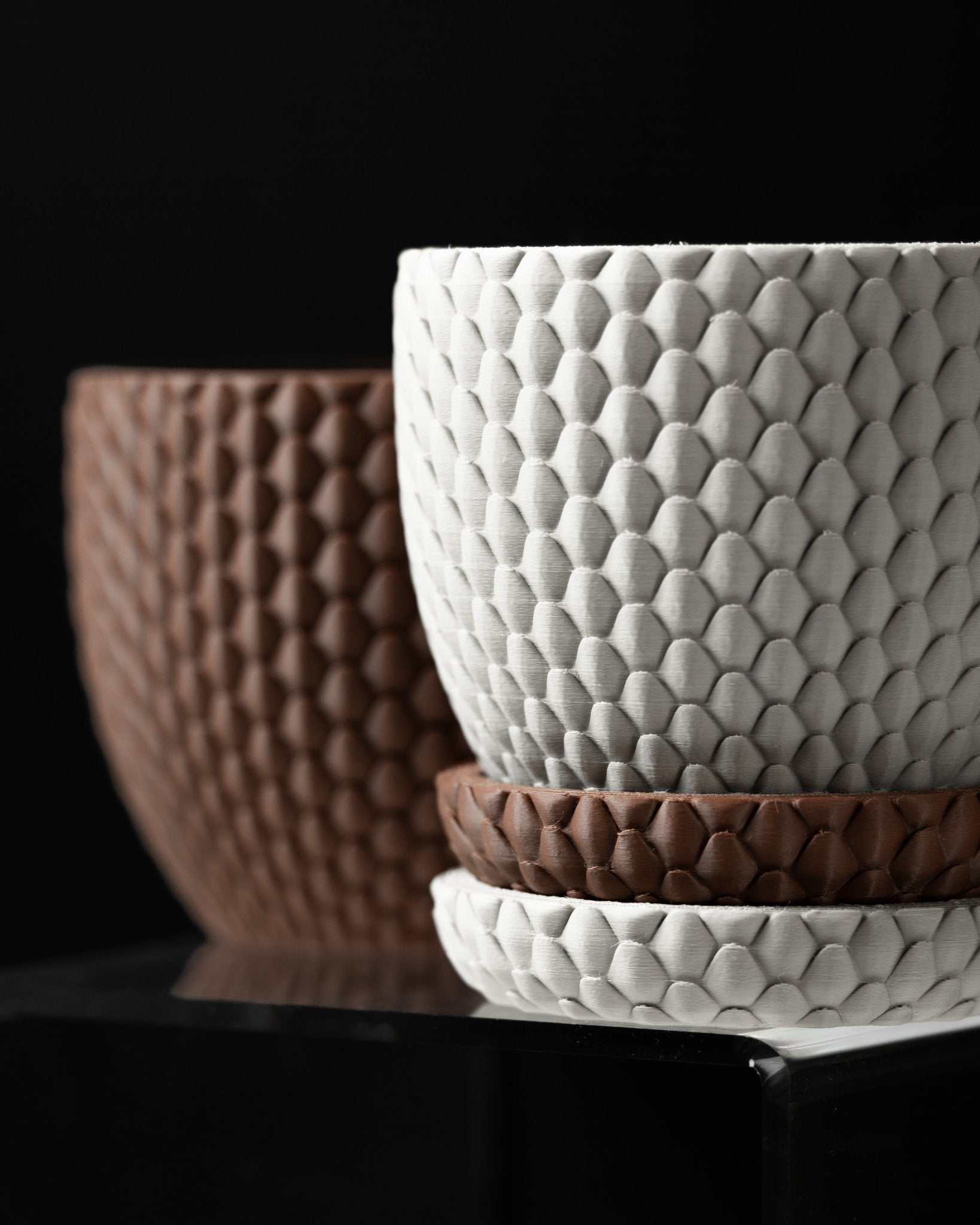 Dragon Scale Planter Pot – Unique Biodegradable and Perfect for Any Space