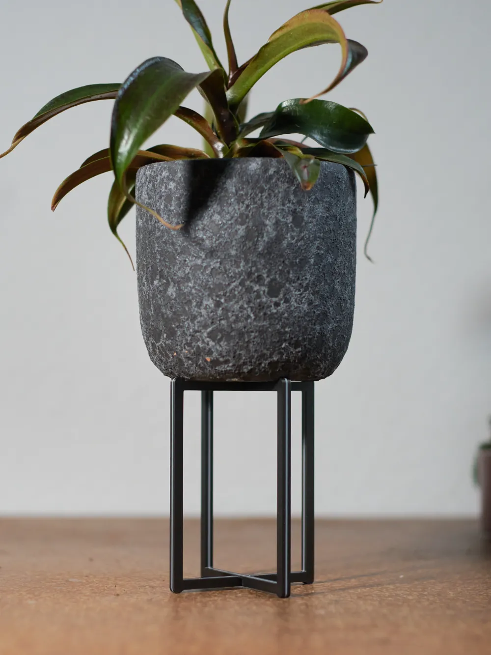 Modern Plant stand 15cm