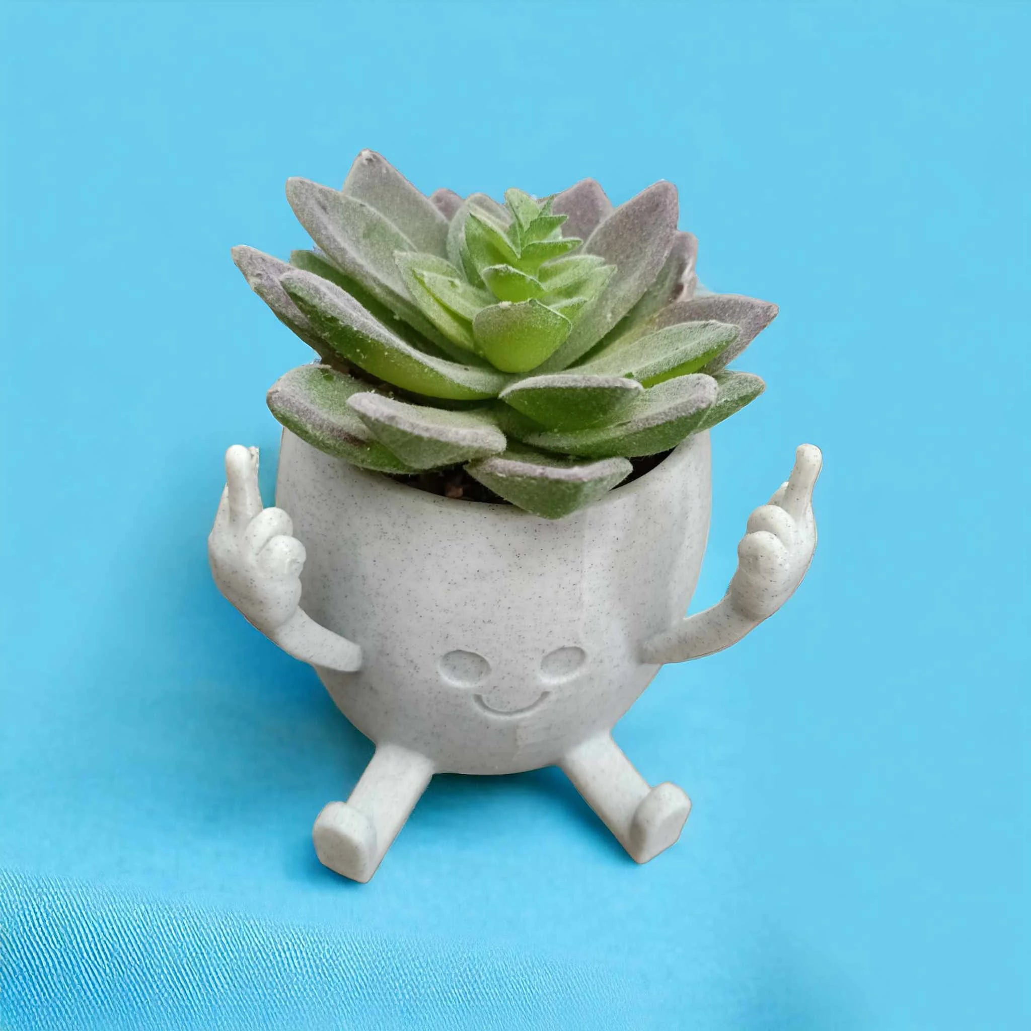 Happy Face Succulent Planter | Cute Funny Plant Pot | Cheeky Middle Finger Gif