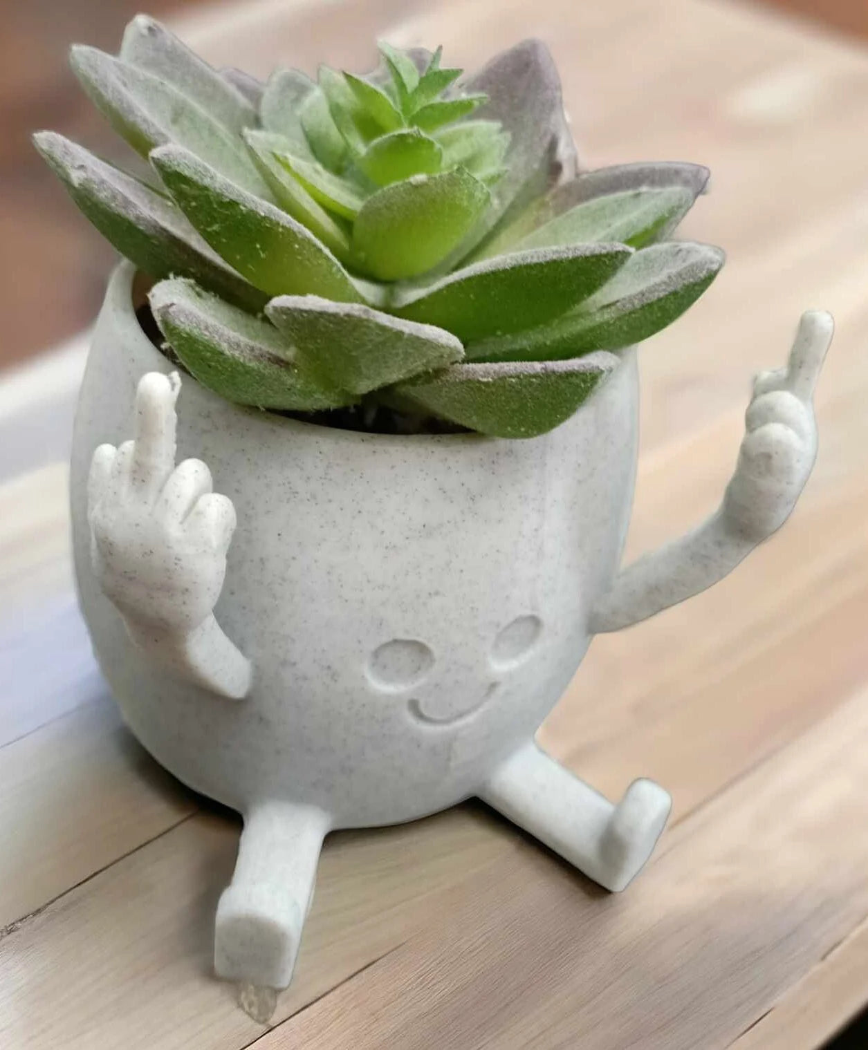 Happy Face Succulent Planter | Cute Funny Plant Pot | Cheeky Middle Finger Gif
