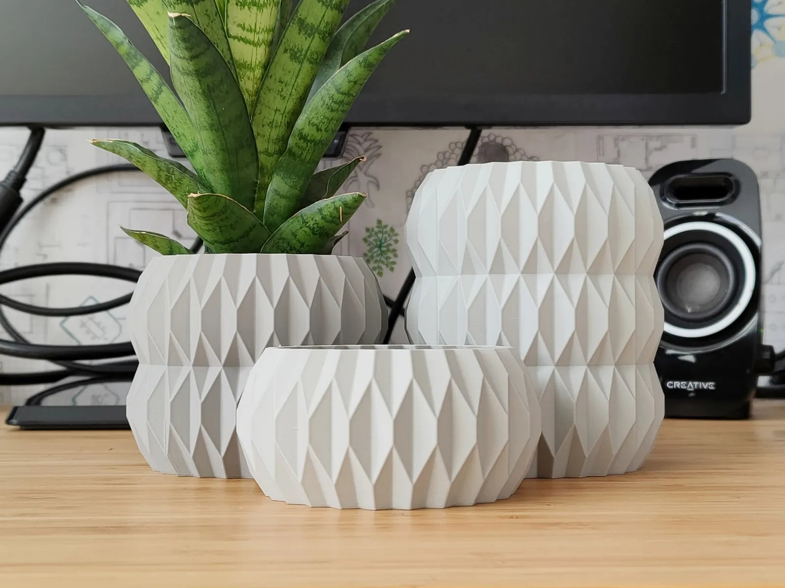 Seashell Plant Pot | Coastal Vase & Bowl Decor | SinisterStyle