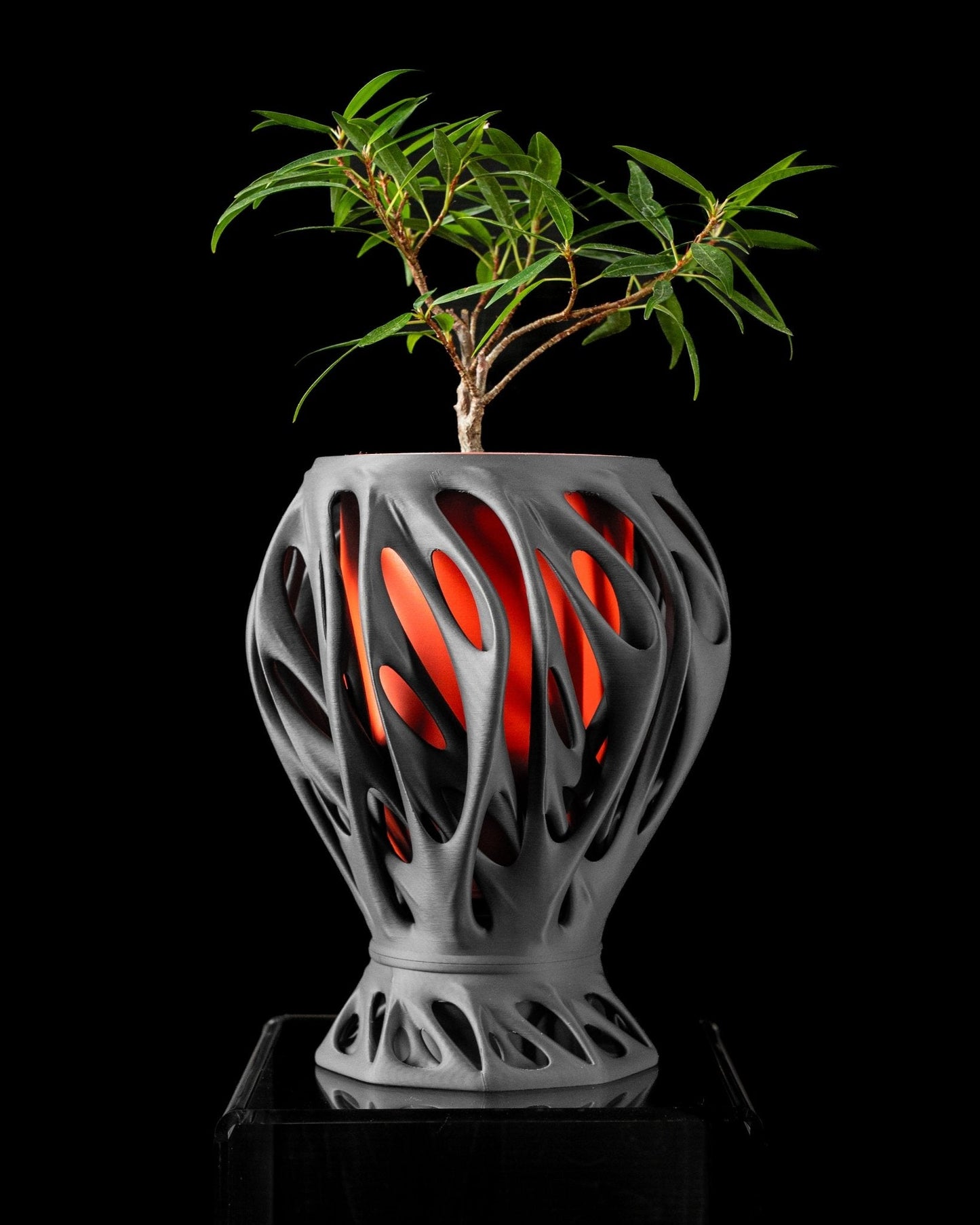Mantis Planter