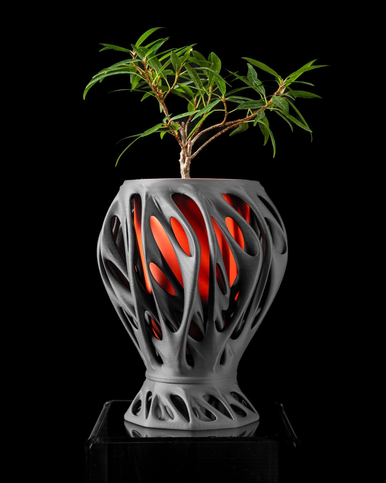 Mantis Planter