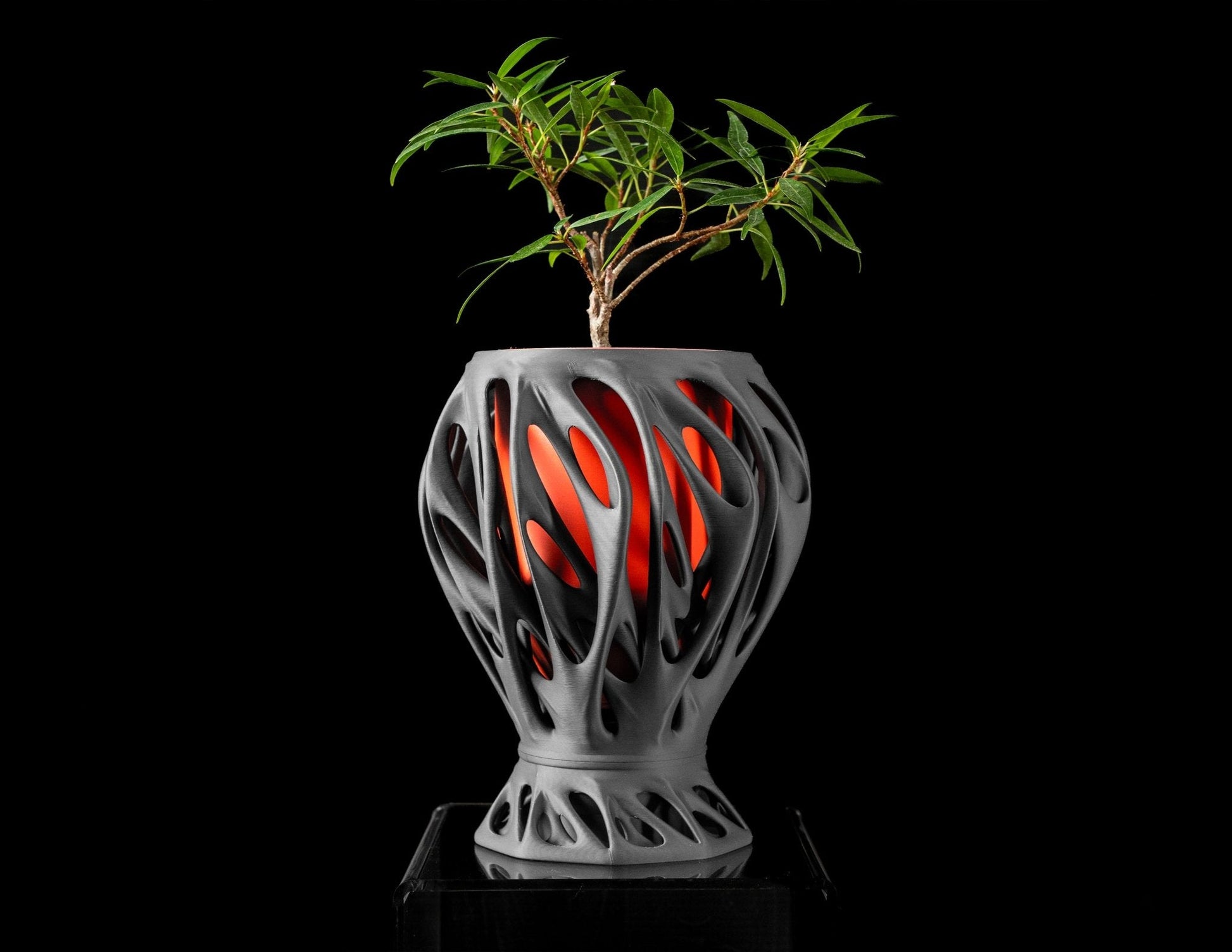 Mantis Planter