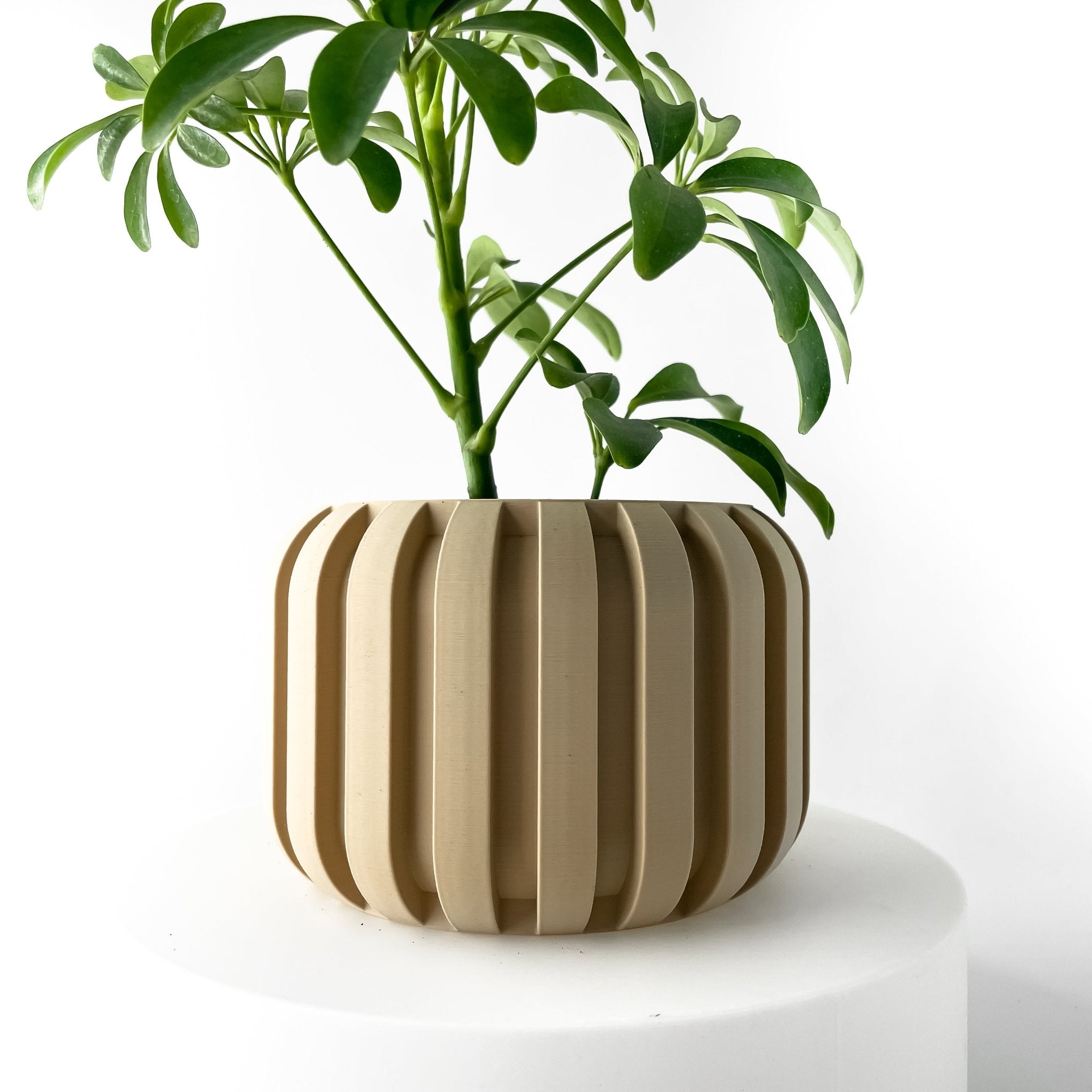 Panu Planter Pot – Eco - Friendly, Stylish, and Built to Last - SinisterStyle