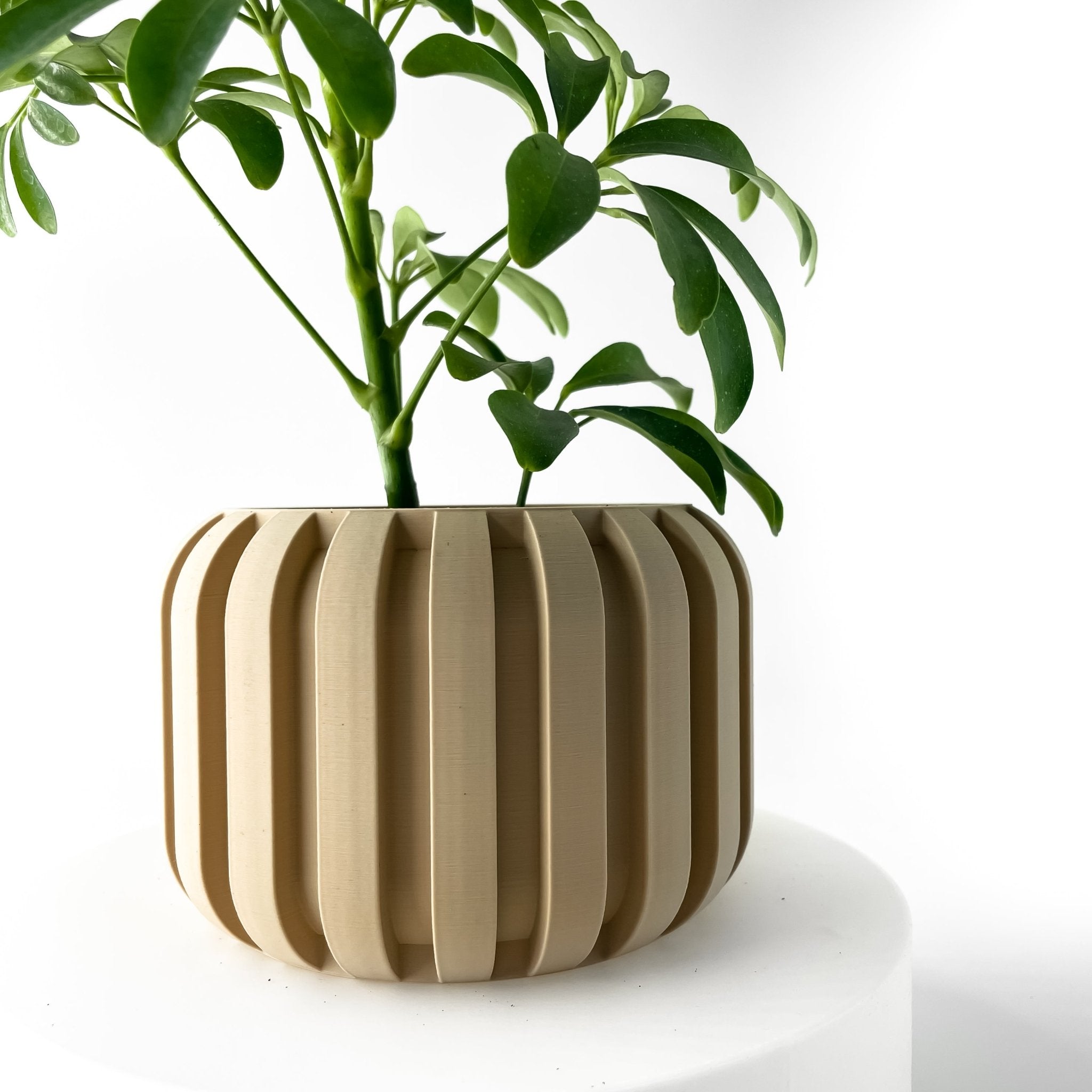 Panu Planter Pot – Eco - Friendly, Stylish, and Built to Last - SinisterStyle