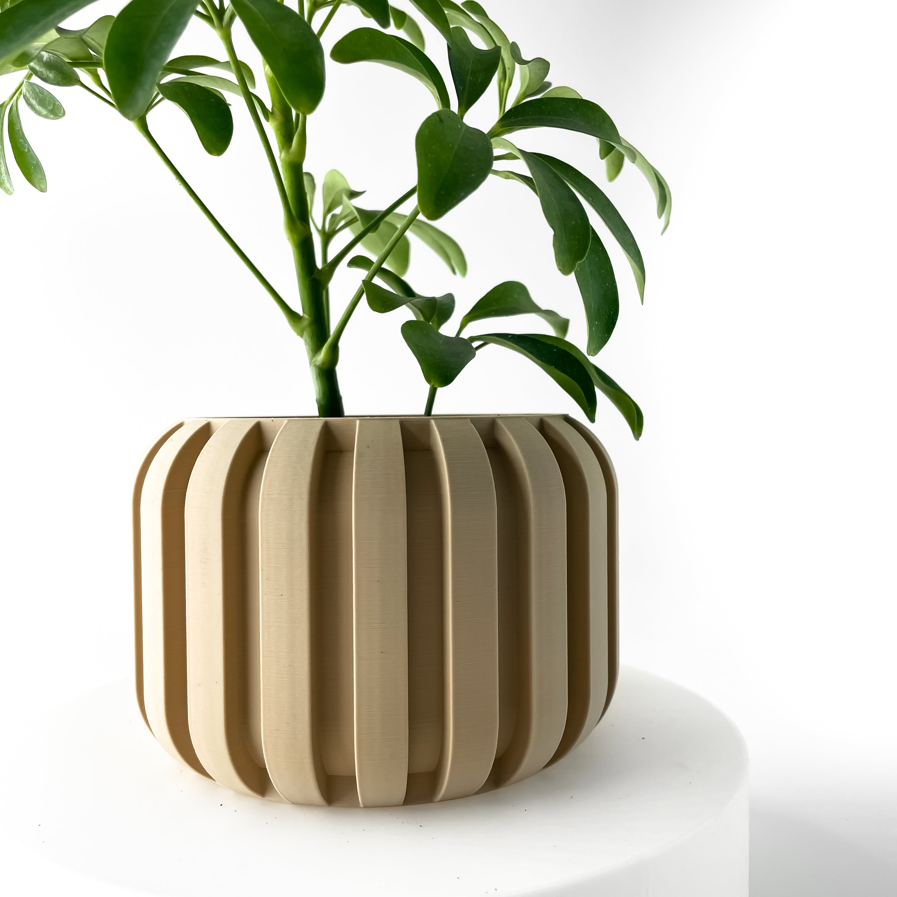 Panu Planter Pot – Eco-Friendly, Stylish, and Built to Last