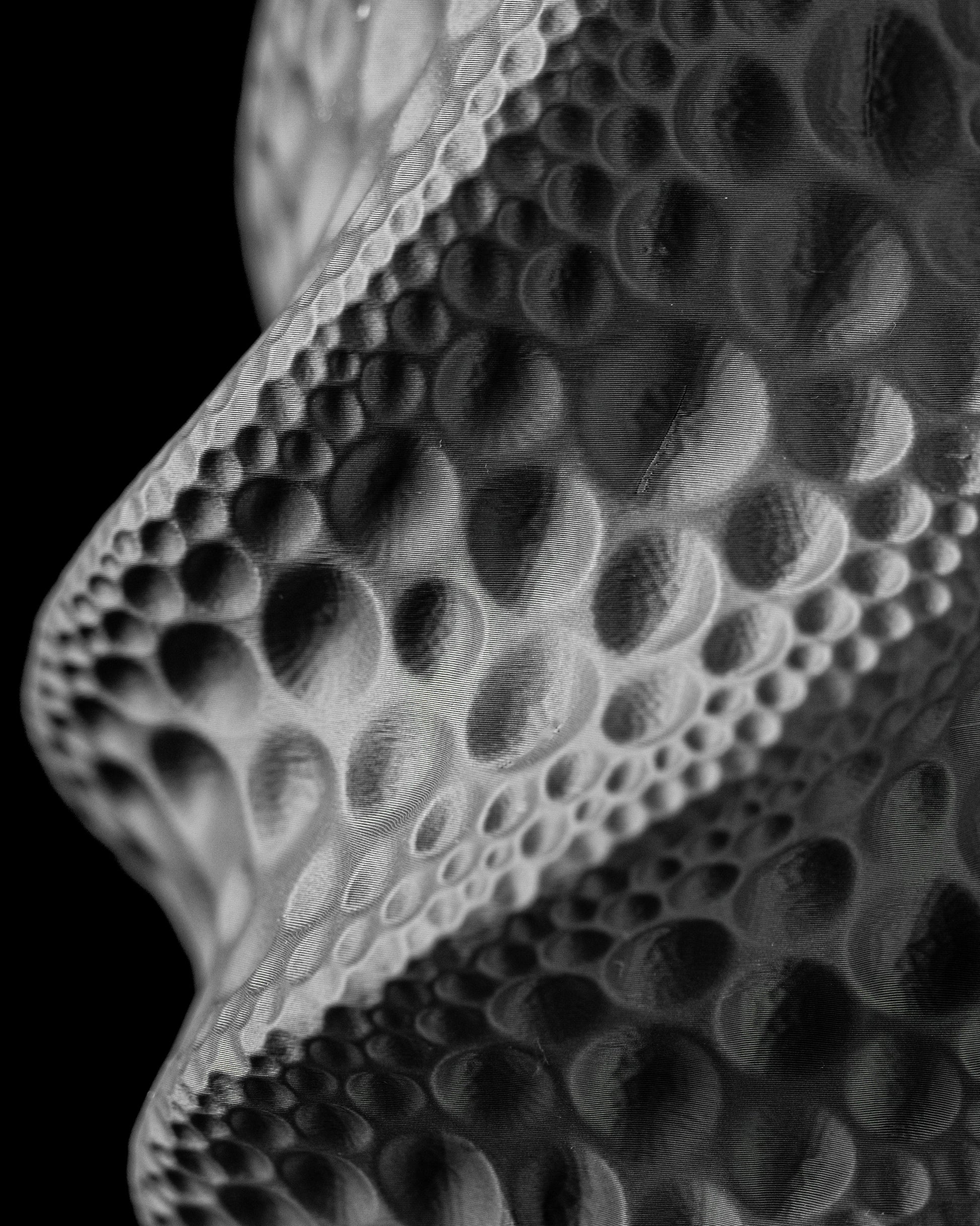 Moon Vase