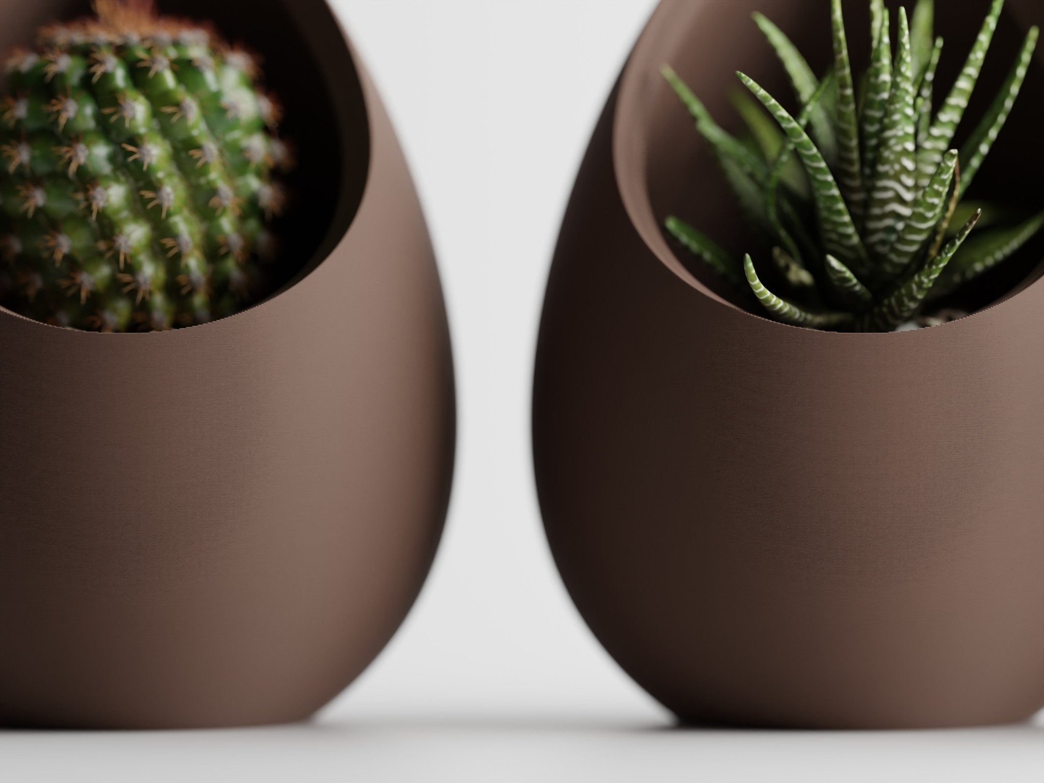 Nest Planter