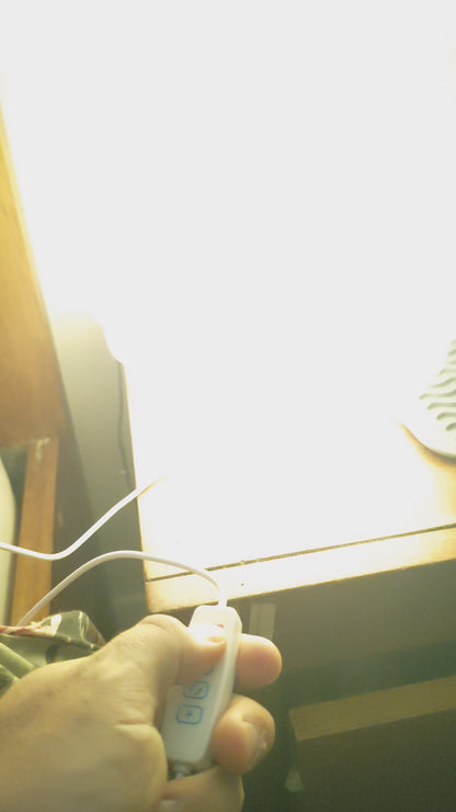 Sinister Select Shell Lamp – Hand-Printed in Perth | Modern cordless LED Table Lamp