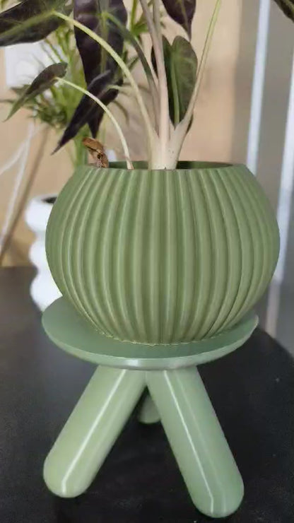 Sinister Curves Planter - Sinister Style Signature Range