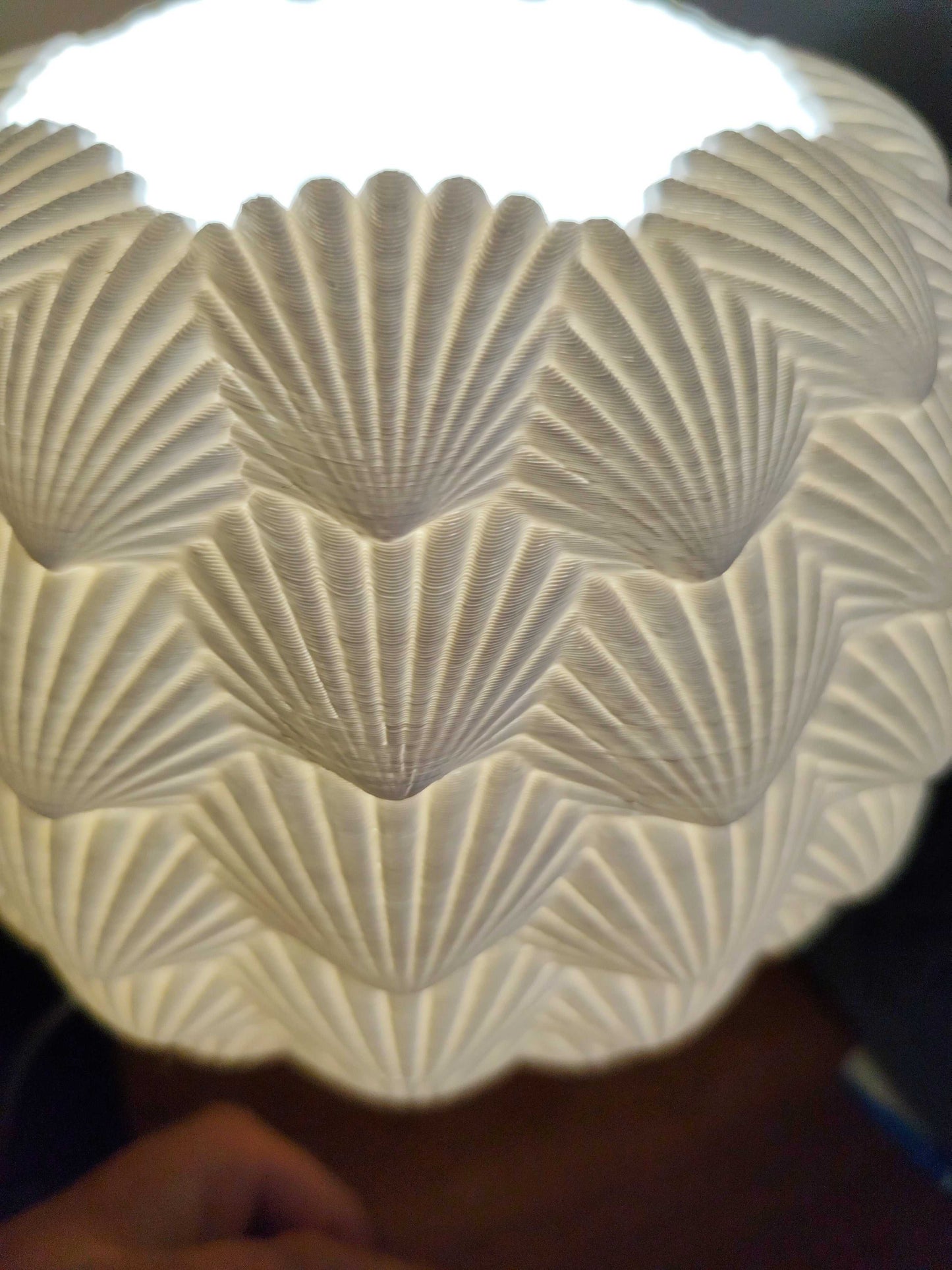 Sinister Select Shell Lamp – Hand-Printed in Perth | Modern cordless LED Table Lamp