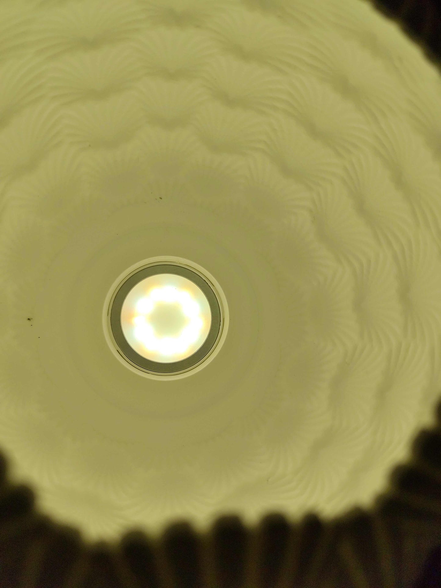 Sinister Select Shell Lamp – Hand-Printed in Perth | Modern cordless LED Table Lamp